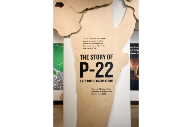 Introductory sign, shaped like a tree, in P-22 exhibition