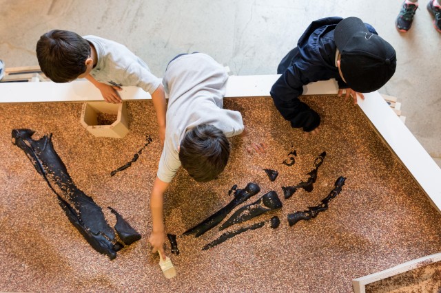 Kids dig up fossils