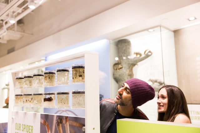 Man and woman look at jars on display in the Nature Lab