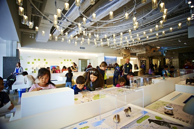 Kids and adults look closer at Nature Lab displays