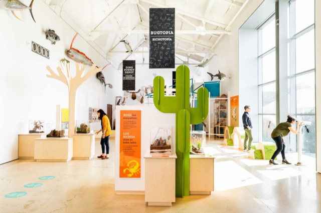 Bugtopia exhibit in the Discovery Center