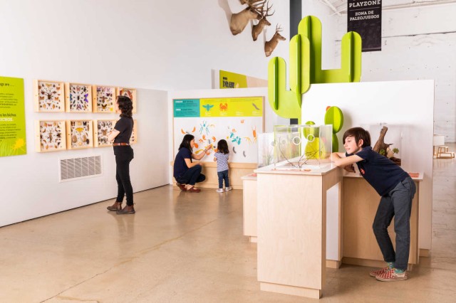 Bugtopia exhibit in the Discovery Center