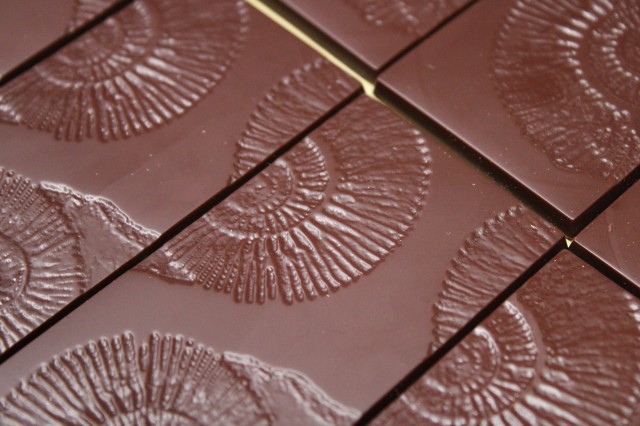 Bars of chocolate with an imprinted shell pattern from above