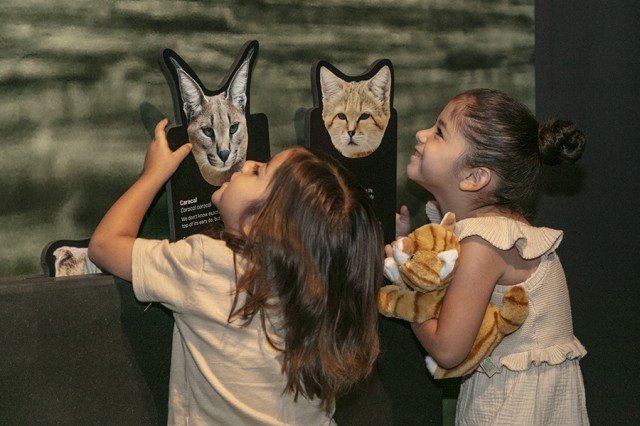 Two children looking up and holding cut-outs of cats