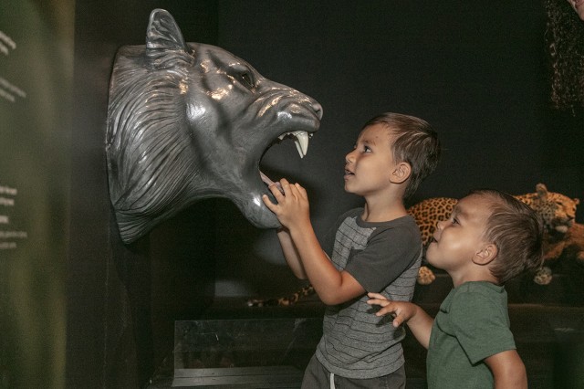 two children holding the tooth and looking at a gray sculpture of a wildcat