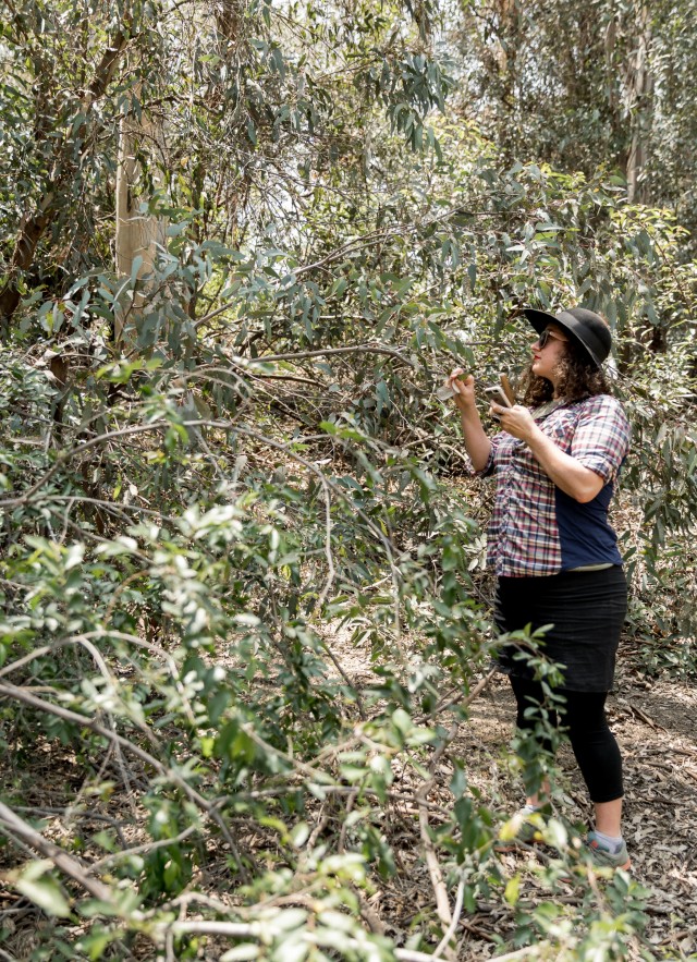 woman among trees for community science