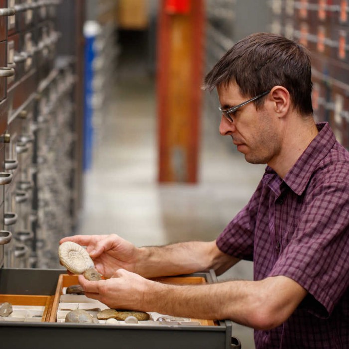 austin hendy looking at specimens in collections research and collections