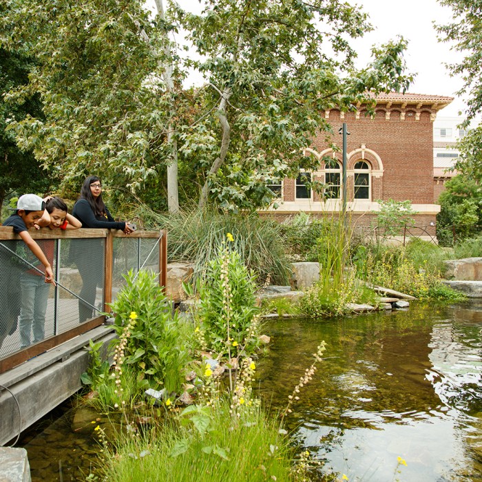 Two children and an adult leaning on the gate overlooking the pond, with the 1913 red brick building in the background