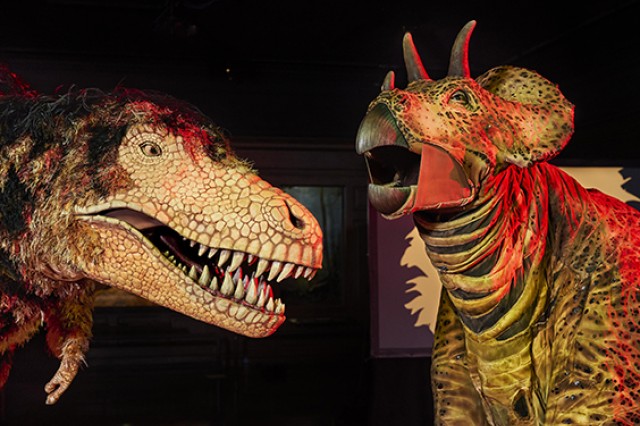 Closeup of dinosaur puppet heads facing each other
