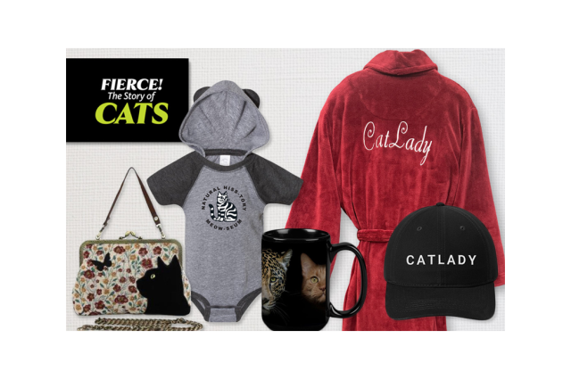 Fierce! The Story of Cats in white and yellow text in a black box with a flowered purse with an embroidered balck cat, a black and gray baby onesie, and a red robe and a black hat with Cat Lady in white text