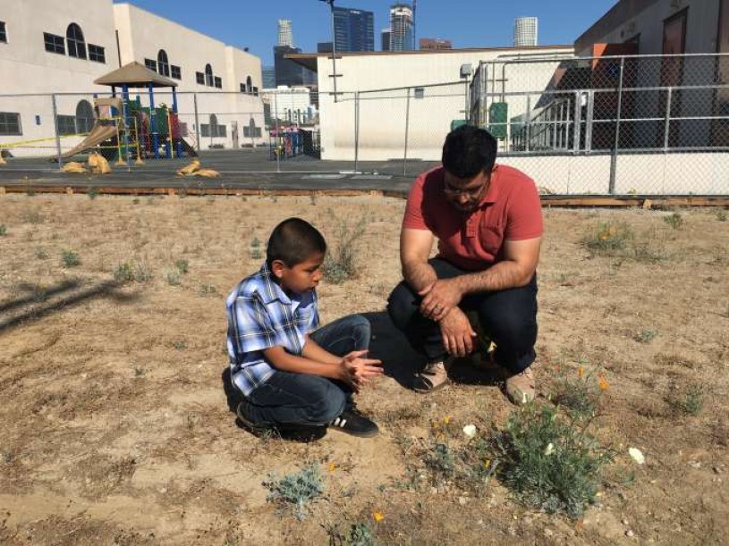 Kevin talking to Miguel about the interesting white color of the poppies.