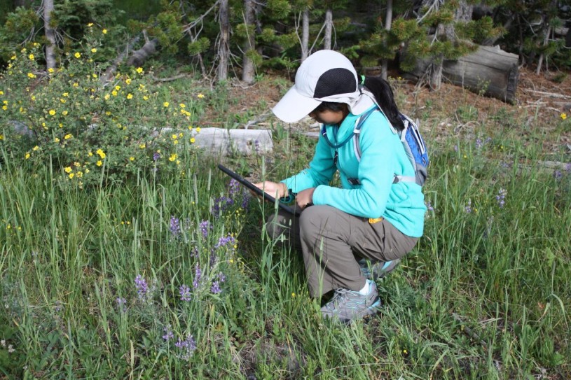 Rachel Ann using iNaturalist to collect community science data.