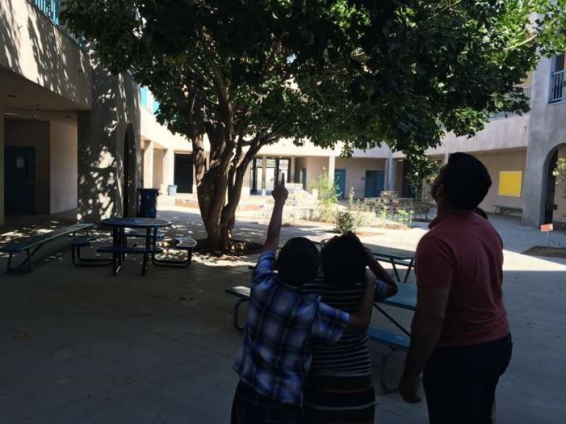 Esperanza students showing Miguel a mourning dove in a nest.