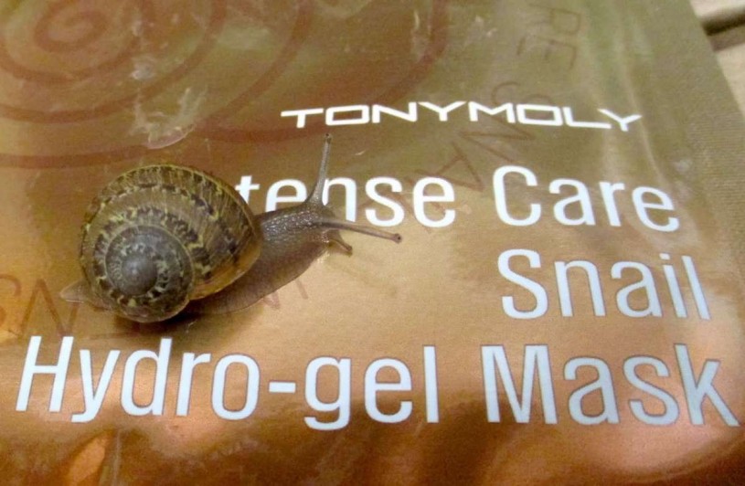 Tonymoly Intense Care Snail Hydro-gel Mask with its “creator,” Cornu aspersum.