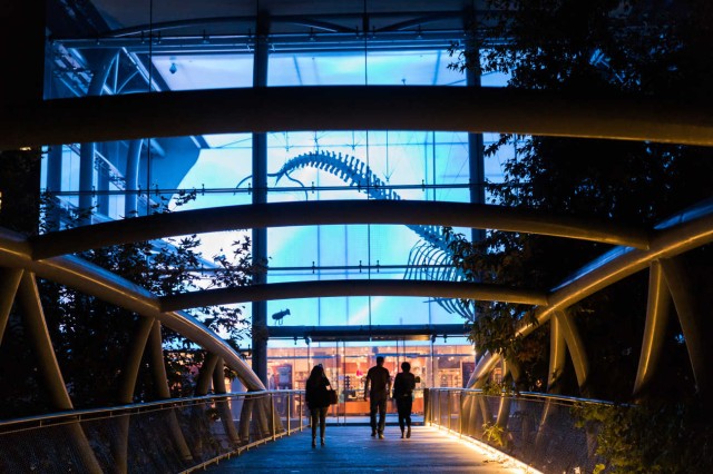 People walk across the bridge into the Otis Booth Pavilion at night