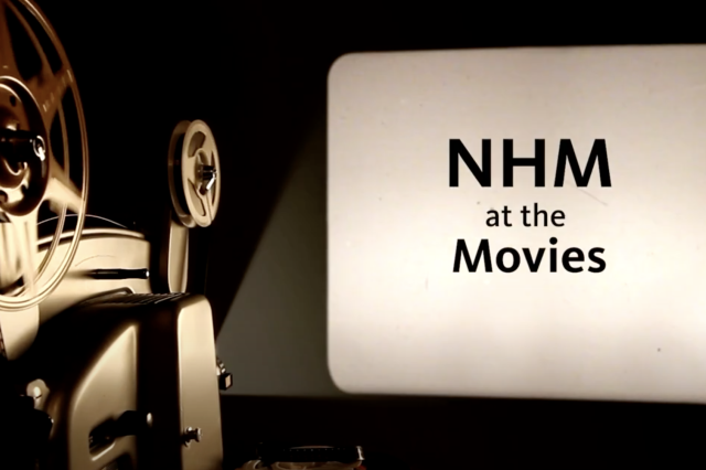 A projector and NHM at the Movies written on a lit screen