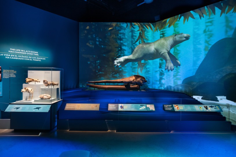 L.A. Underwater featuring paleoparadoxia 3D recreation