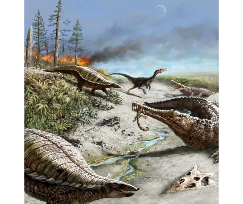 About 212 million years ago, in what is now northern New Mexico, early dinosaurs such as the carnivorous dinosaur (in background) were small and rare, whereas other reptiles were quite common.