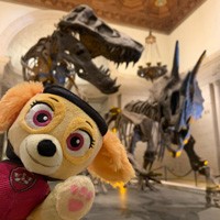 Skye from PAW Patrol in front of dueling dinos 